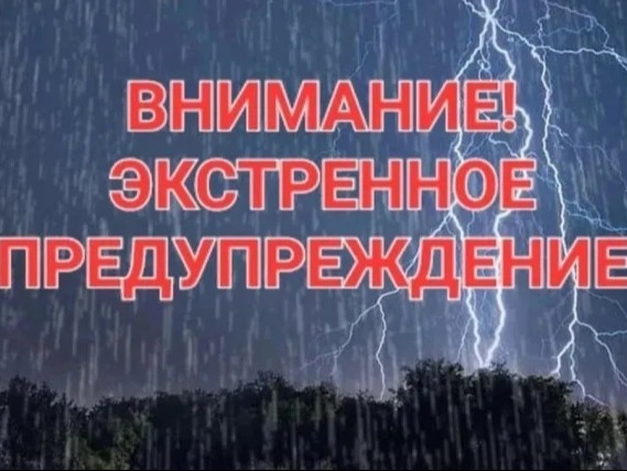 Экстренное предупреждение (плакат).