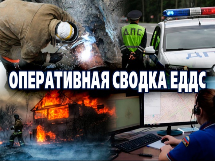 Оперативная сводка ЕДДС.